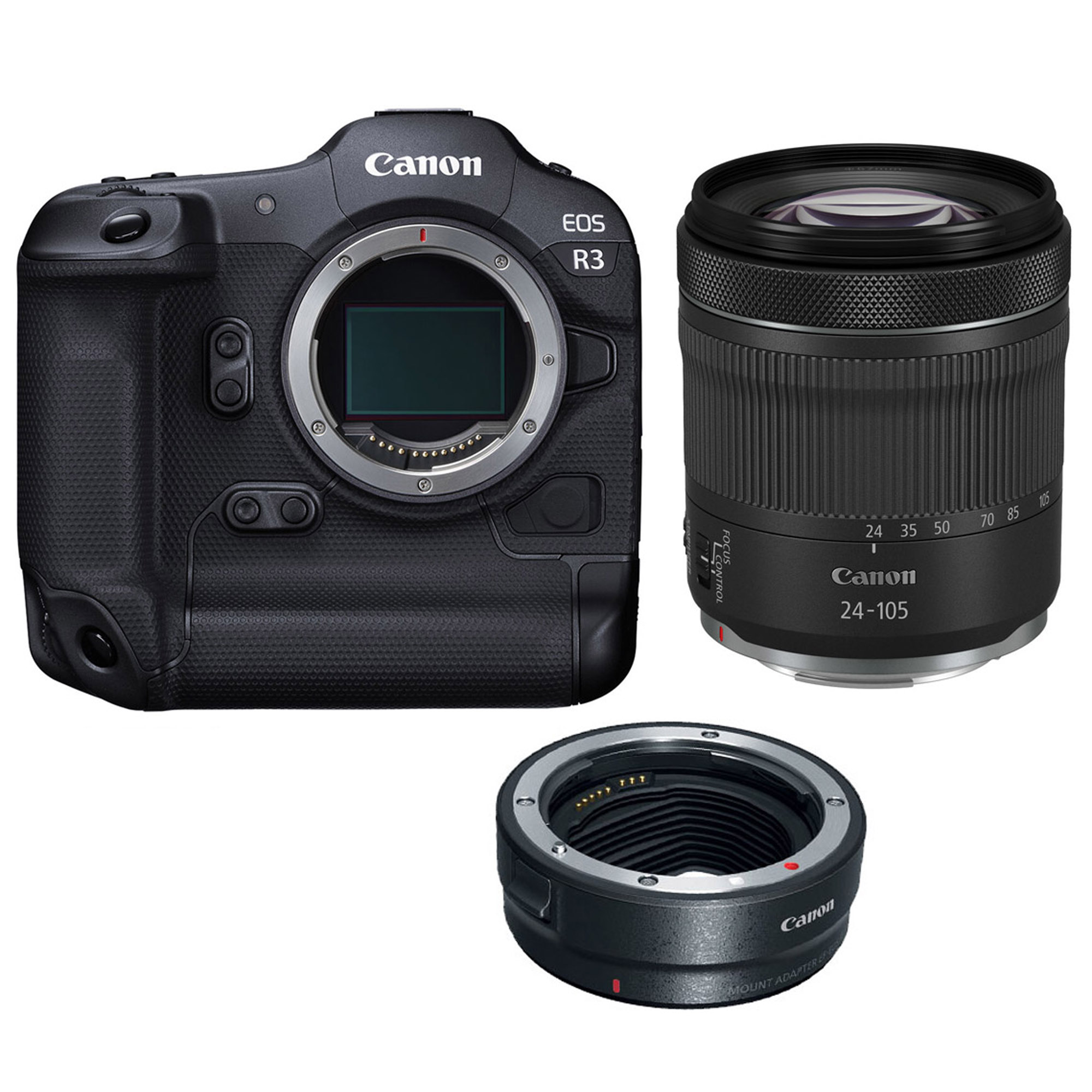 Canon EOS R3 24-105 STM + EF-EOS R mount adapter