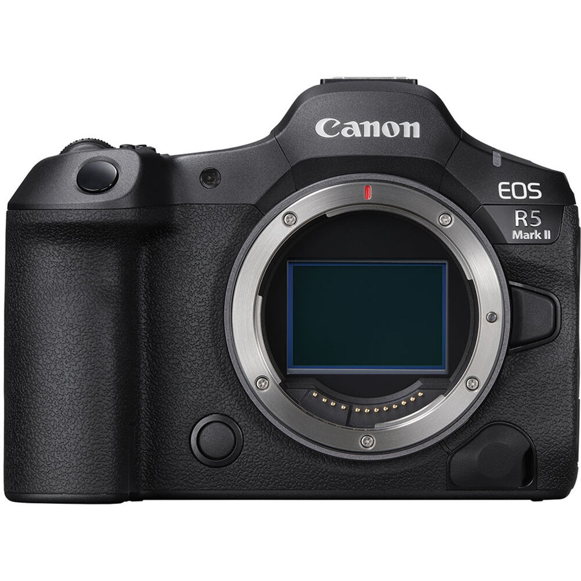 Canon Mirrorless Cameras